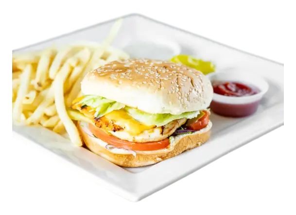 Mediterranean Chicken Burger & Fries